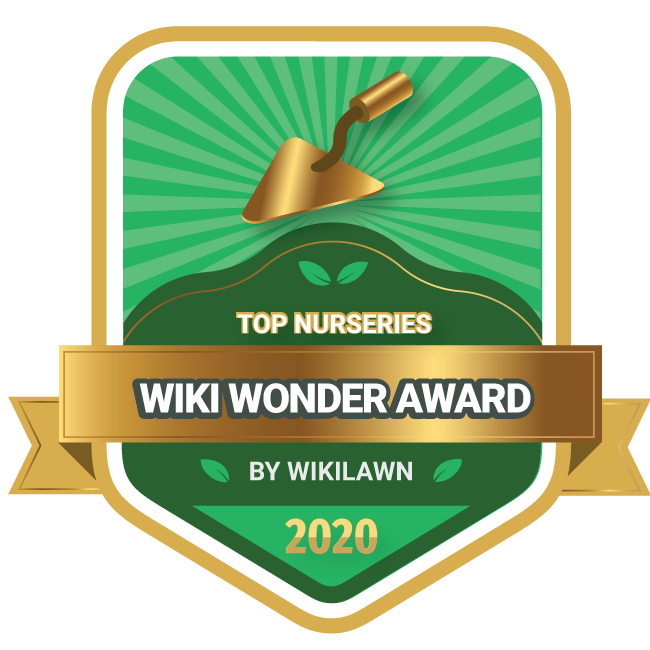 Wiki Wonder Award: Top Nurseries