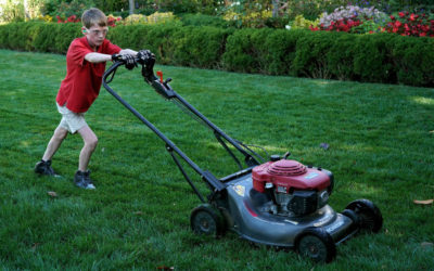 A Quick Guide to Lawn Mowing in Dallas, TX