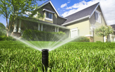What You Need to Know About Orlando’s Watering Restrictions