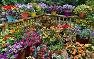 5 Native Maryland Plants for Easy Container Gardening