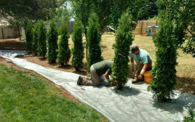 Tips on Managing a Seasonal Business, like the Landscaping Industry