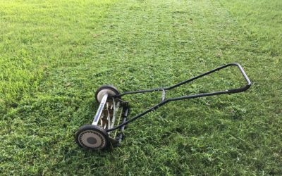 How to Make Spring Lawn Care Miserable – What Not to Do This Spring