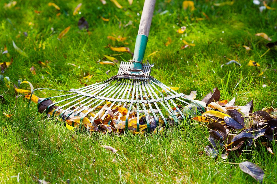 4 Pros and Cons of DIY Lawn Care in Washington, DC