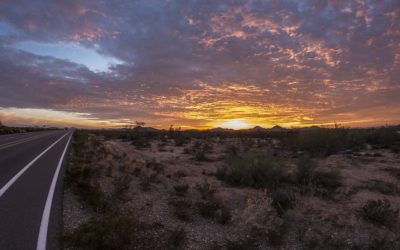 The Most Instagrammable Spots in Phoenix