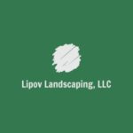 Lipov Landscaping, LLC logo