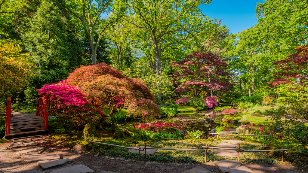 How to Create a Backyard Japanese Zen Garden