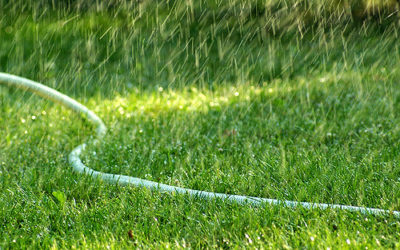 A Comprehensive Guide to Watering Austin, TX Lawns