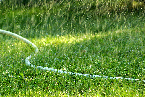 A Comprehensive Guide to Watering Austin, TX Lawns