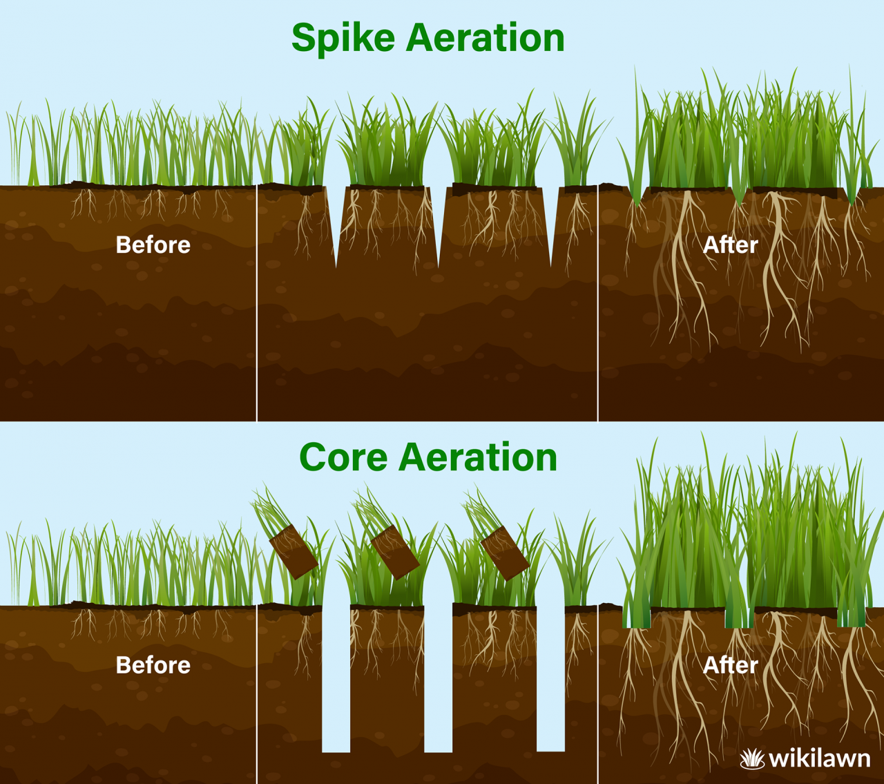 When And How To Aerate Your Lawn | Wikilawn