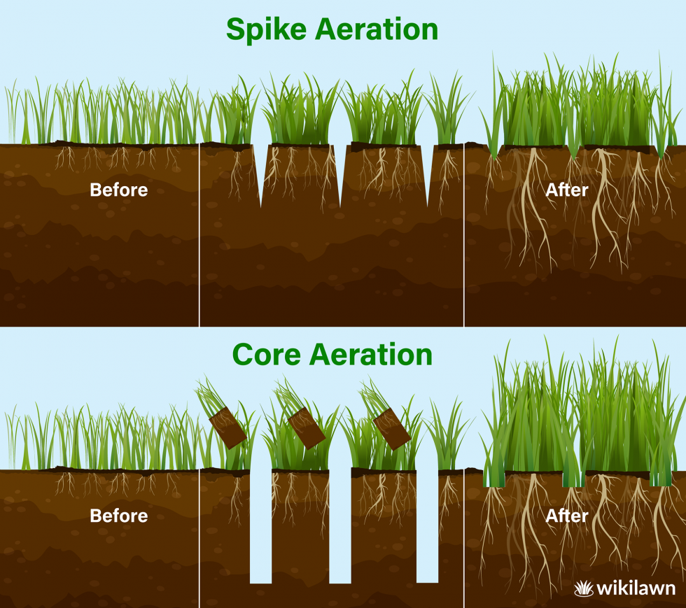 When and How to Aerate Your Lawn | Wikilawn