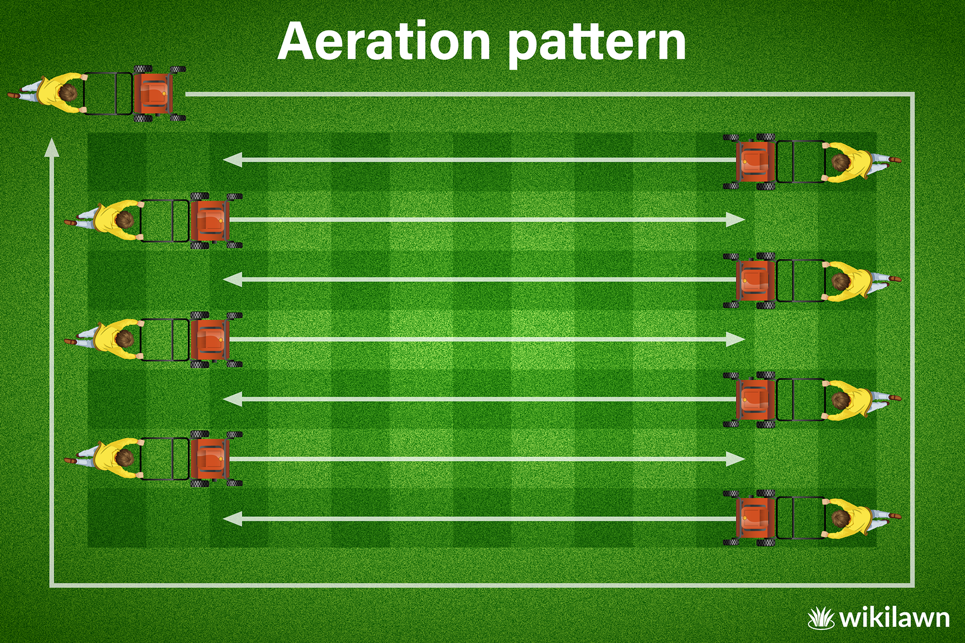 illustration of a person walking an aeration machine back and forth across the lawn in the proper aeration pattern
