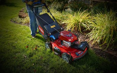 Lawn Mowing and Maintenance in Austin