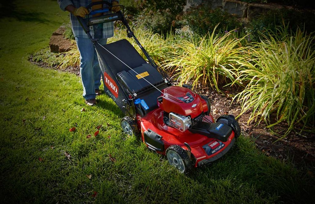 Lawn Mowing and Maintenance in Austin