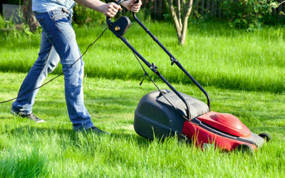 Lawn Mowing And Maintenance in Dallas-Plano-Irving