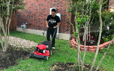 San Antonio Lawn Mowing and Maintenance