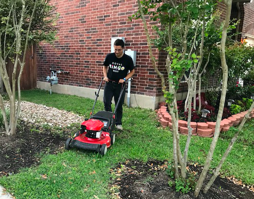 San Antonio Lawn Mowing and Maintenance