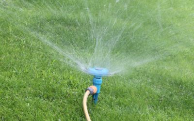 Watering Restrictions in Dallas, Irving and Plano