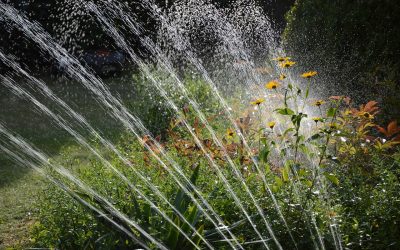 Raleigh, NC Watering Restrictions