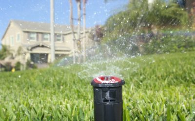 Lawn Watering Restrictions for Denver and the Front Range