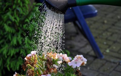 Water restrictions in San Antonio, New Braunfels