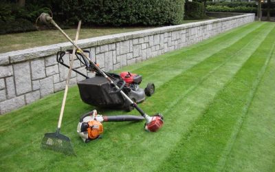 A Guide to Summer Lawn Care in Kansas City