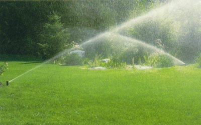 Watering Restrictions in Cincinnati