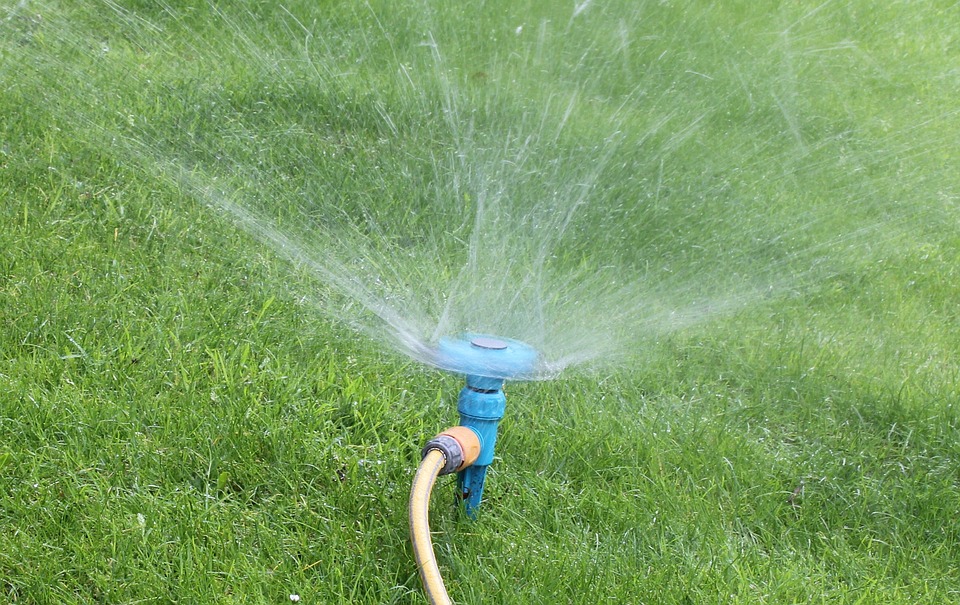 Watering Restrictions in Baton Rouge, LA