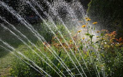 Water Restrictions in Fort Worth, Texas