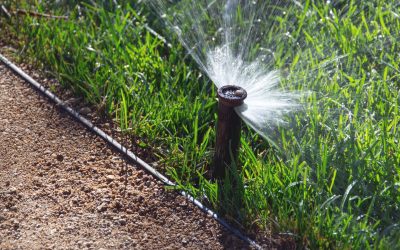 Kansas City Watering Restrictions