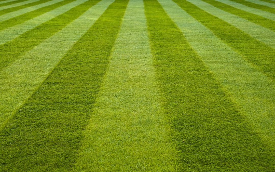 How to Stripe a Lawn in 6 Steps