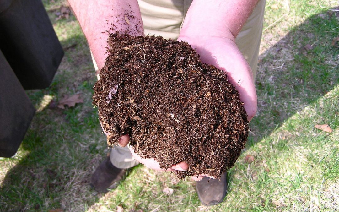 Benefits of Composting for Your Lawn