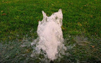 Protecting Your Sprinkler Heads