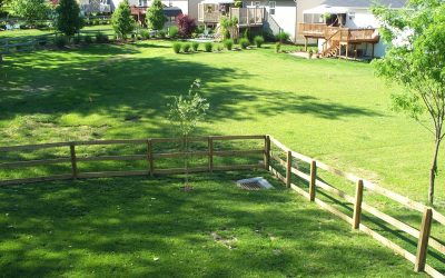 5 Most-Common Lawn Problems