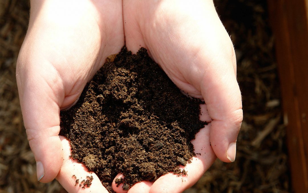Guide to Understanding Soil Types