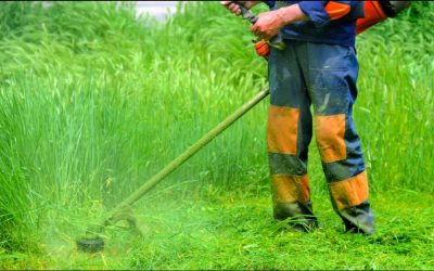 Why Lawn Care Is an Essential Service in a Pandemic