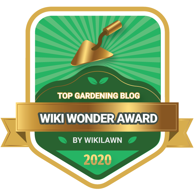 Wiki Wonder Award