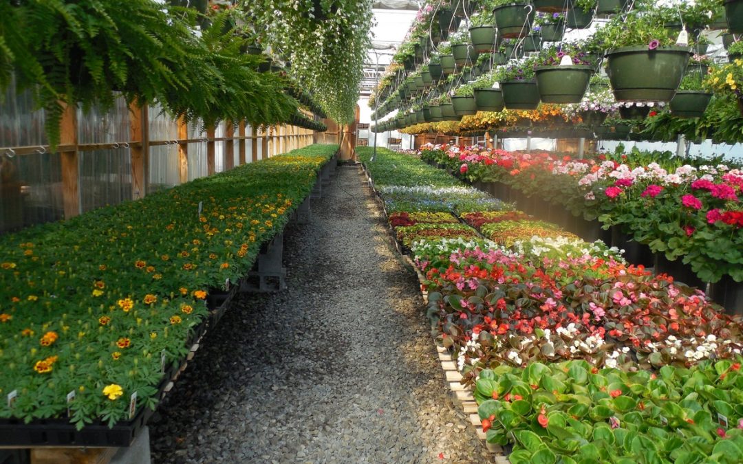 The 40 Top Plant Nurseries in the U.S.