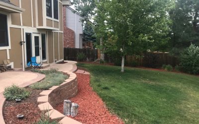 4 Best Grass Types in Aurora, Colorado