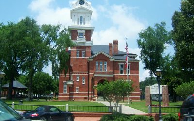4 Best Grass Types in Lawrenceville, Georgia