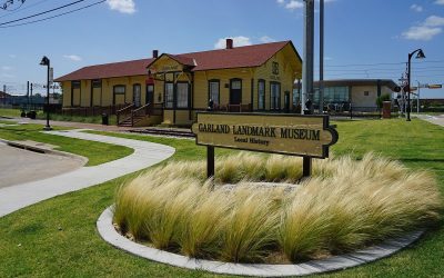 6 Best Grass Types in Garland, Texas