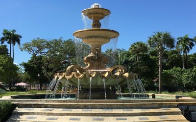 4 Best Grass Types in Hialeah, Florida