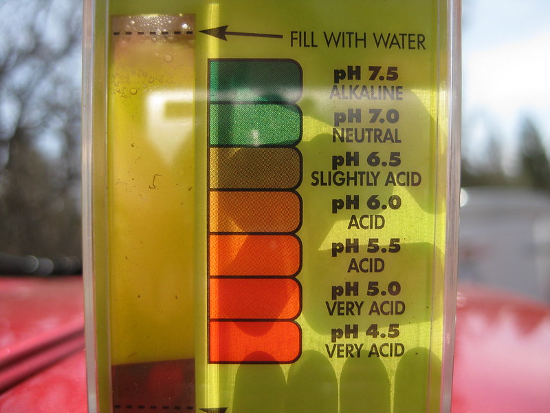 Soil test, checking pH