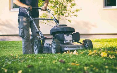 When is the Best Time to Mow a Lawn?