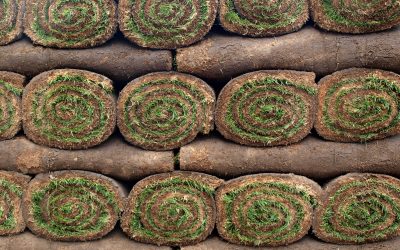 How to Lay Sod in 5 Easy Steps