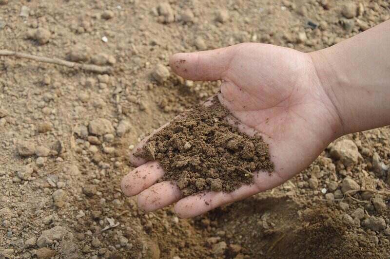 close=up of a handful of dirt in someone's hand