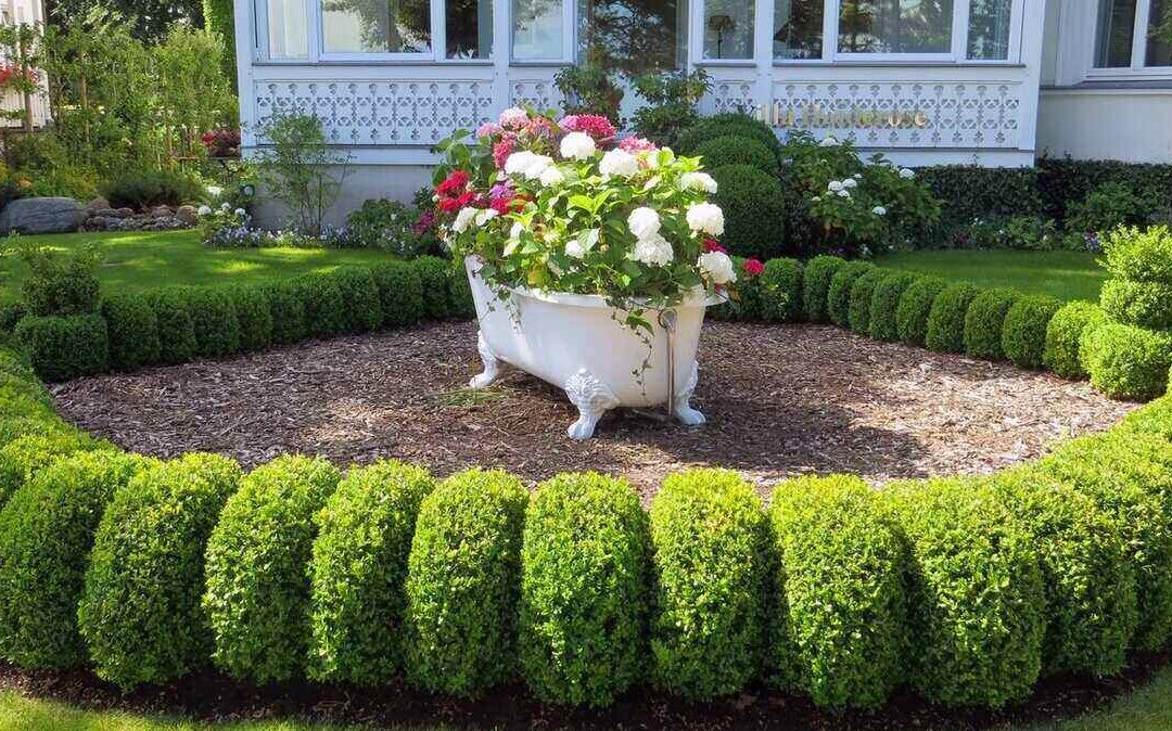 11 Front Lawn Landscaping Ideas