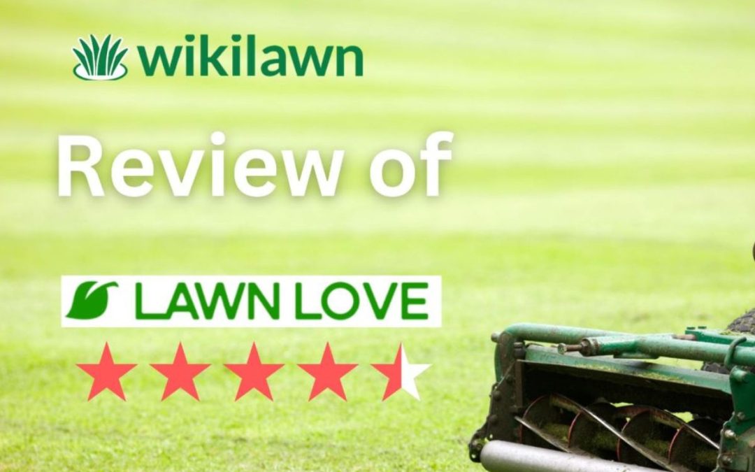 Lawn Love Review: Will You Love It or Leave It?