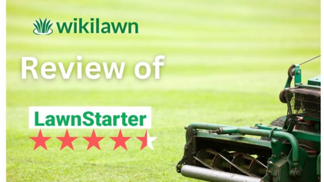 LawnStarter Review: A Great Easy Way to Get Lawn Care [In-Depth Review]