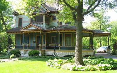 4 Best Grass Types for Plano, Texas