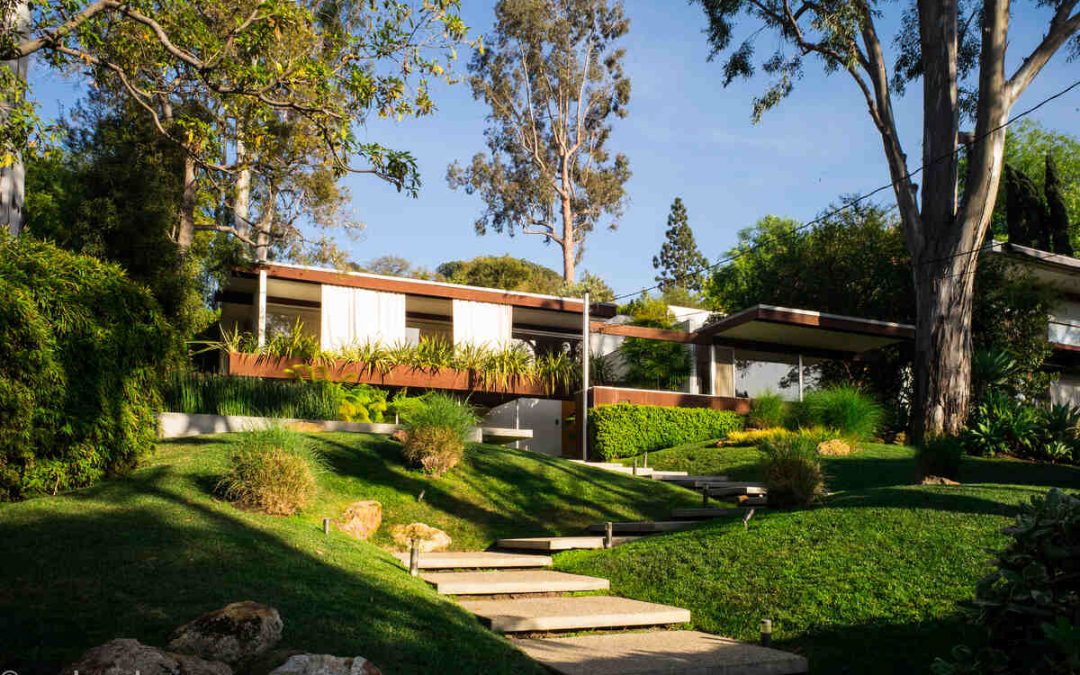 9 Low-Maintenance Landscaping Ideas for Los Angeles